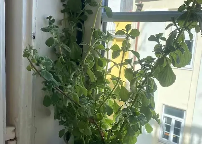 Amazing Viwe Apartamento *