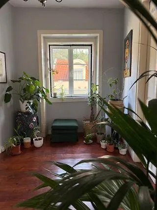 Amazing Viwe Apartment *