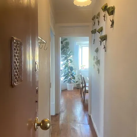 Appartement Amazing Viwe Lisboa