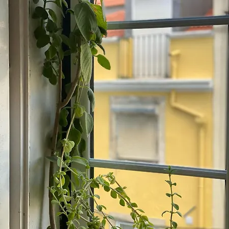 Appartement Amazing Viwe Lisboa