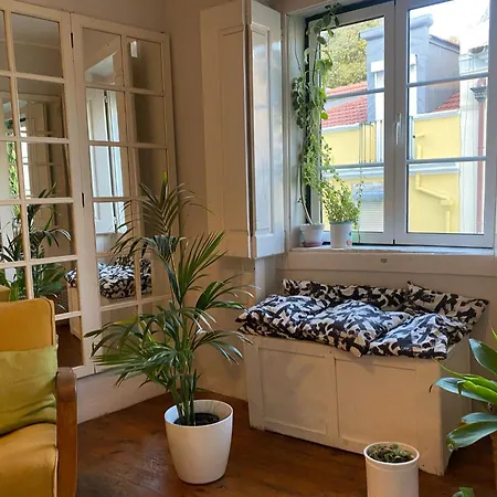 Amazing Viwe * Lisboa