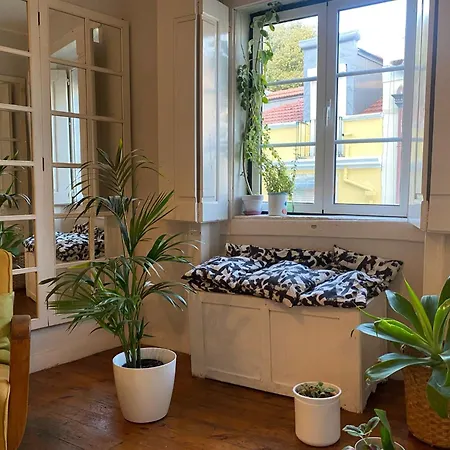 Amazing Viwe Daire Lisboa