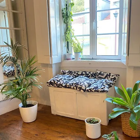 Amazing Viwe Appartement Lisboa