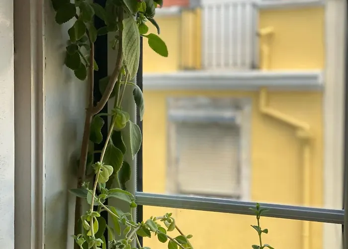 Апартаменти Amazing Viwe Лісабон